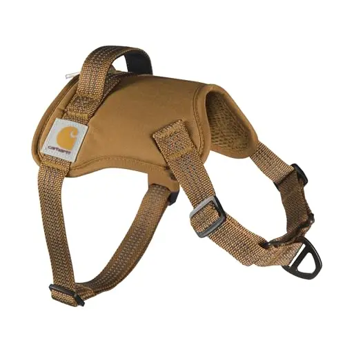 Carhartt brown durable dog harness with martingale chest strap on a working breed