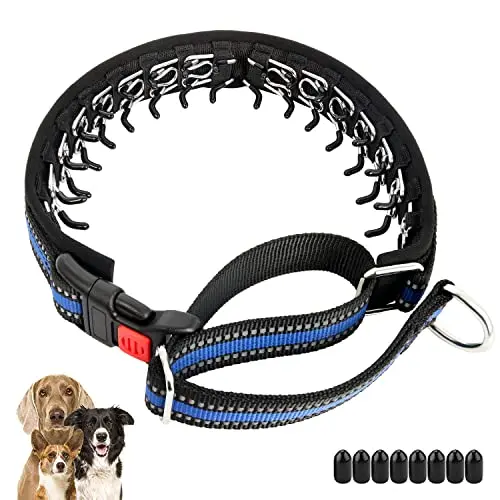 Mayerzon blue martingale dog collar with reflective strip and quick-release buckle.