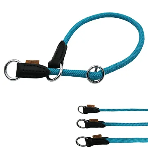 Aiminto Braided Round Martingale Dog Collar in light blue