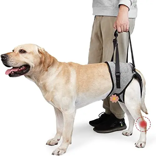 Grey dog lift harness with large magic sticker closure and padded handle.