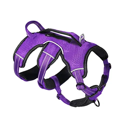 Tuff Pupper purple durable dog harness with dual leash clips