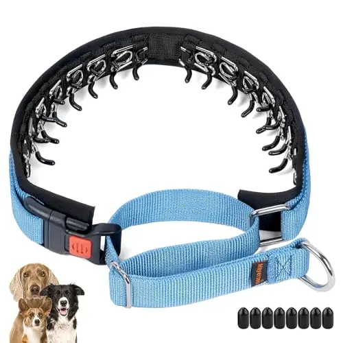 Mayerzon no pull martingale collar in blue