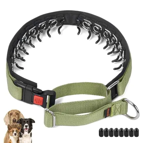 Mayerzon hidden-link martingale dog collar in green