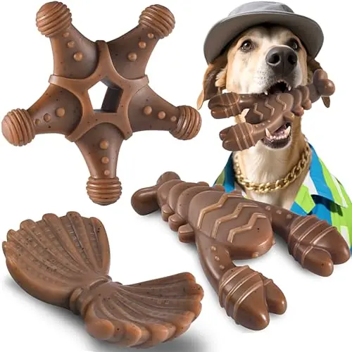 NEZIN 3-pack dog chew toys in starfish, shell, and lobster shapes