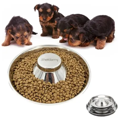 Sheldamy stainless steel multiple puppy feeder bowl with a large, single compartment