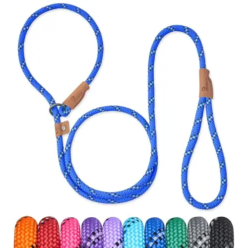 Petarea blue stripe slip leash with reflective thread