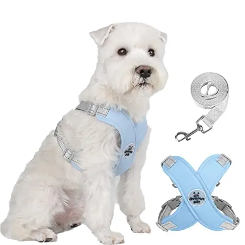 FEimaX Dog Harness in blue, showing the X-frame and soft padded vest.