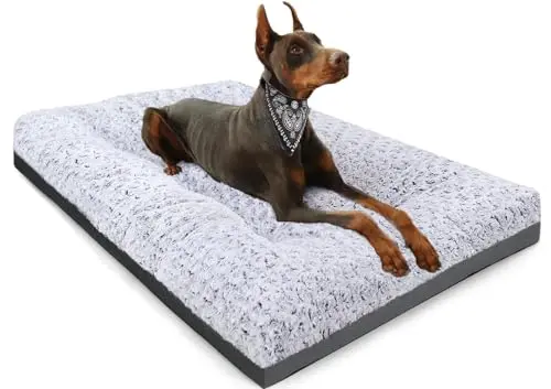 POCBLUE XL dog bed with elegant velvet surface