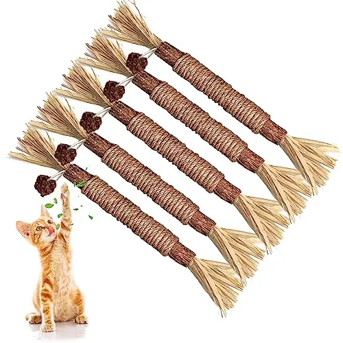 GBSYU five pack of silvervine cat chew sticks