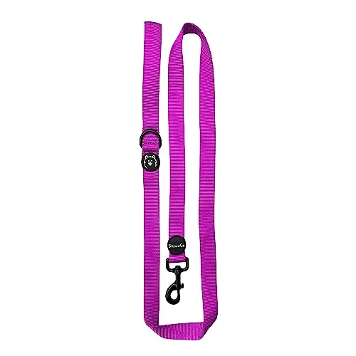 ShawnCo premium nylon dog leash with soft neoprene handle in orchid color