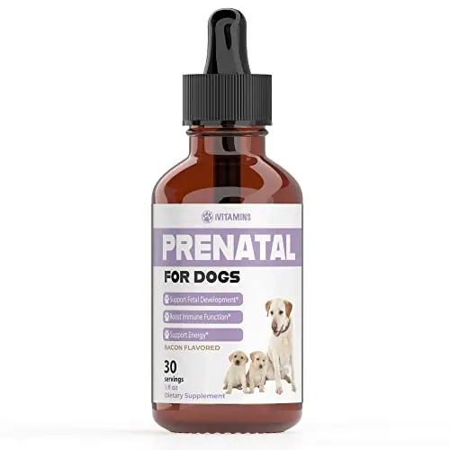 iVitamins Dog Prenatal Vitamins liquid drops for pregnant dogs