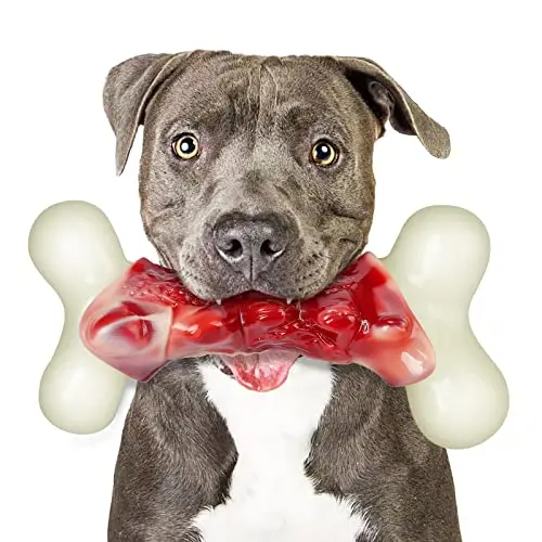 DEBAK red and white bone-shaped nylon dog chew toy