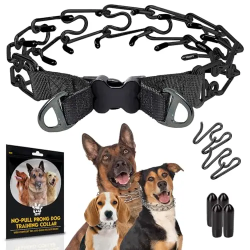 PetJett black stainless steel prong collar with quick-release buckle