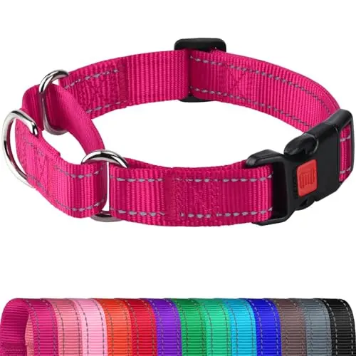 Joytale reflective martingale collar in hot pink