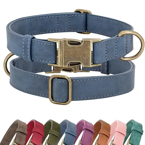 Didog soft PU leather dog collar in blue for small dogs