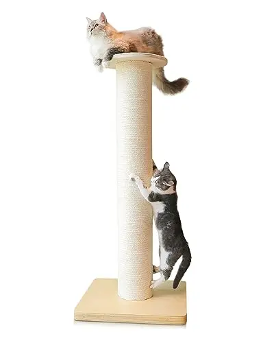KONELCARE extra-tall 50-inch cat scratching post for large breeds like Maine Coon