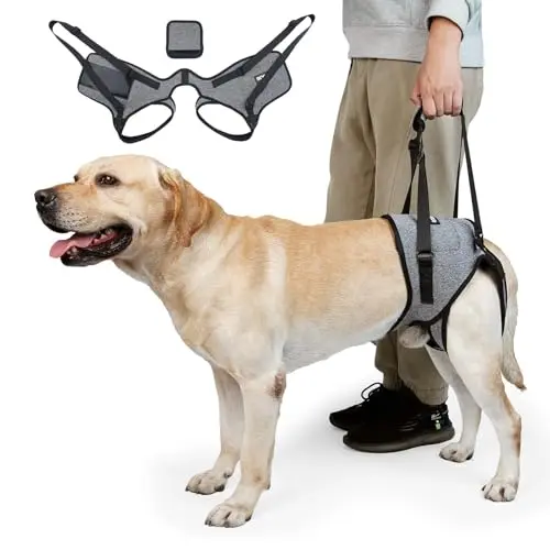CNEO dog lift harness in grey with special groove design
