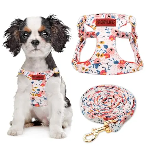 RosyLife floral dog harness and leash set in orange rose for tiny dogs