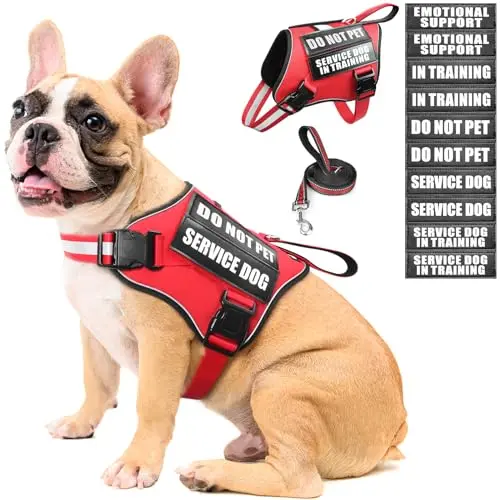 MOOGROU Service Dog Vest Harness and leash set in red with patches