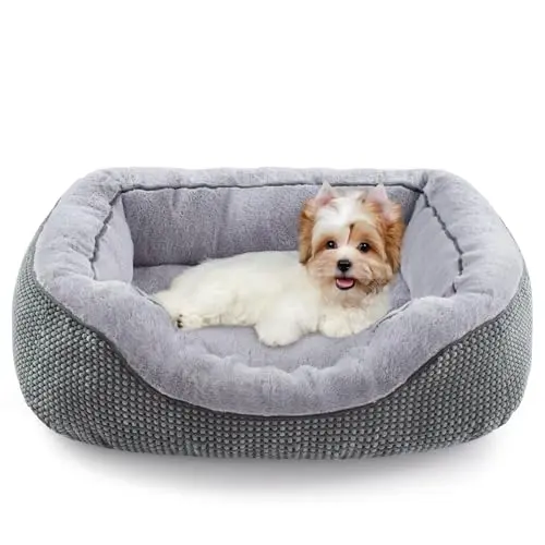 INVENHO grey rectangular orthopedic dog bed with soft plush and raised sides for small dogs