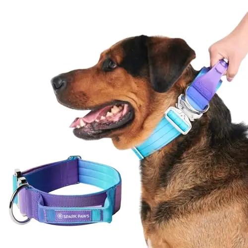Spark Paws tactical dog collar with 90s retro gradient design and handle