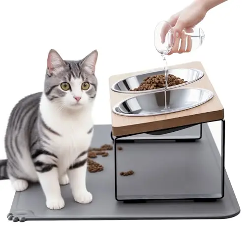 Summark elevated cat bowls set with tilted stand and food mat