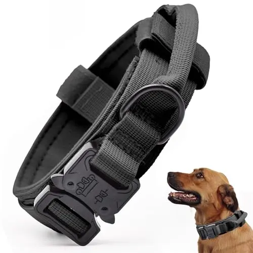 CADONO black tactical nylon dog collar with quick-release metal buckle