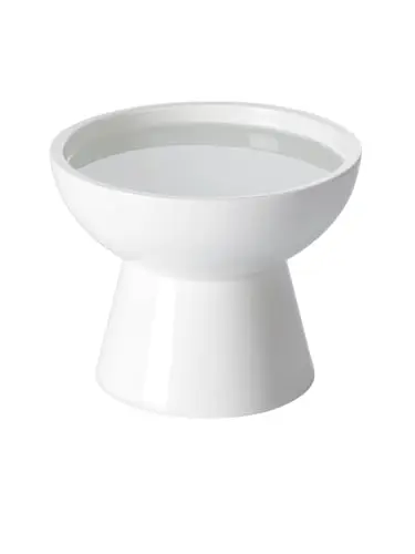 LoeJan ceramic elevated cat bowls set with separate food and water dishes
