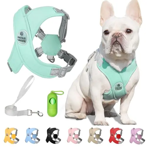 Patas Lague Dog Harness with Leash and Poop Bag Dispenser in Green