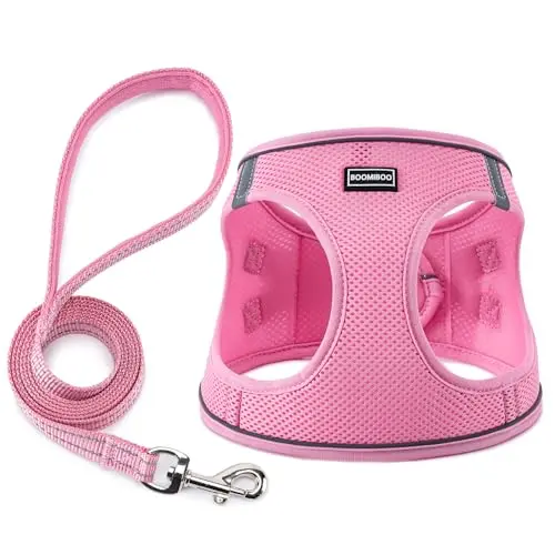 BOOMIBOO dog harness and leash set in pink for small dogs