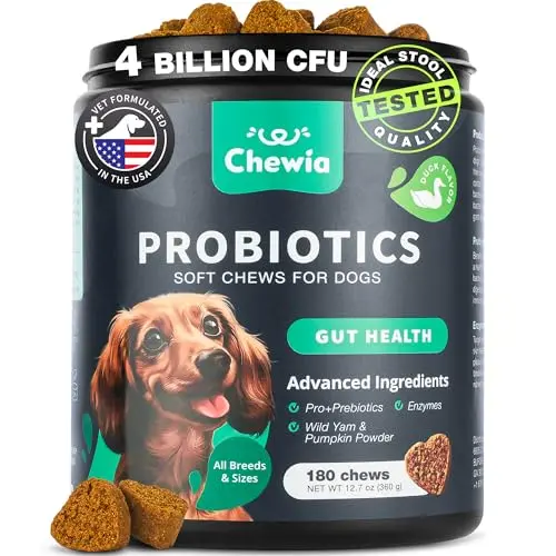 CHEWIA dog probiotic chews with pumpkin for gut health