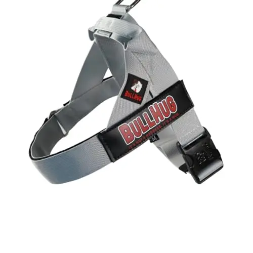 BULLHUG silver dog harness designed for French Bulldogs and similar breeds