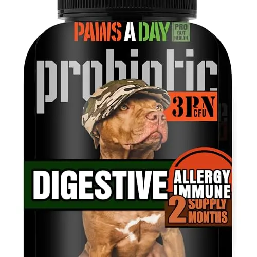 Paws A Day army soldier owned probiotic chews for dogs