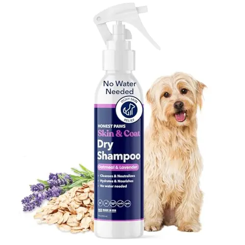 Honest Paws Dog Dry Shampoo spray bottle with oatmeal and lavender