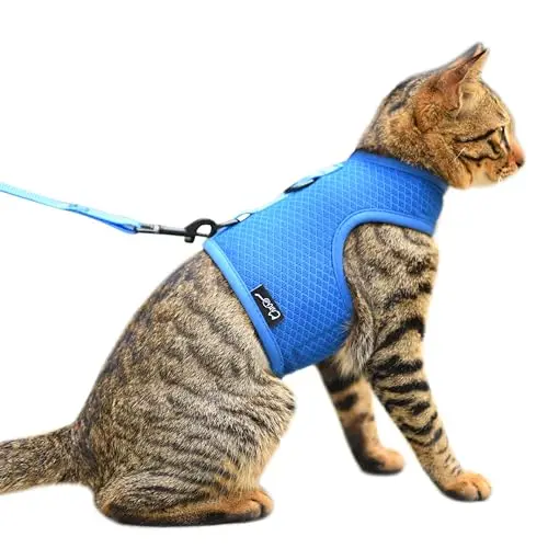 Yizhi Miaow cat harness in solid blue mesh fabric