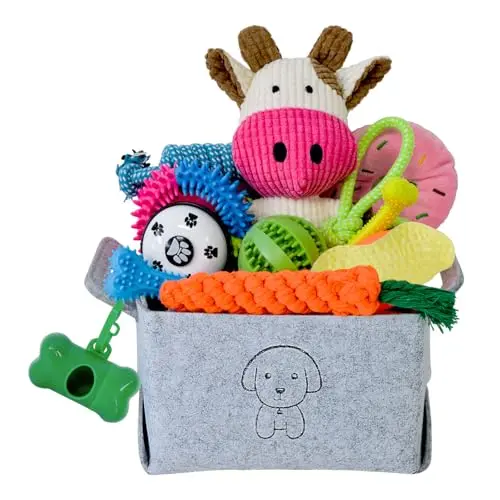 MRSOHRET 20 pack puppy chew toys with storage basket