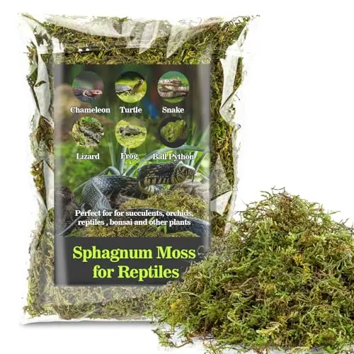 Sukh green dried sphagnum moss for reptiles