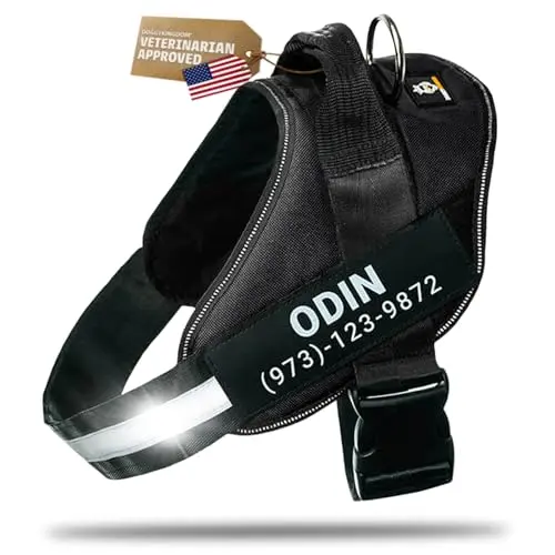 DOGGYKINGDOM personalized dog harness in black with custom patches