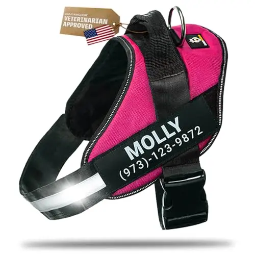 Doggykingdom personalized custom name dog harness