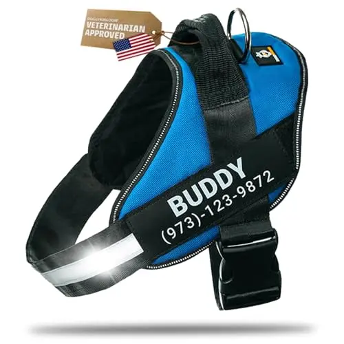 DOGGYKINGDOM blue personalized dog harness with name patch on a large dog