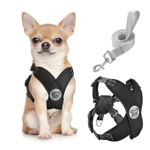 Pawaboo X-frame no pull dog harness and leash set in black for small dogs