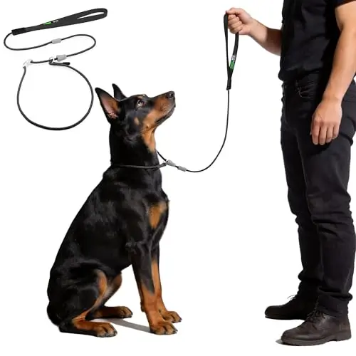BeauGo slip lead dog leash in black with thin braided rope and stopper