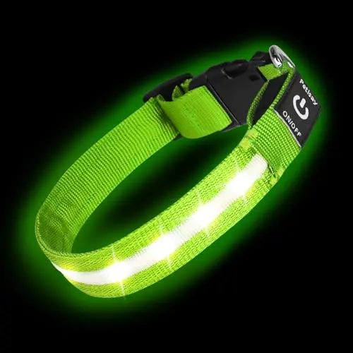 PetIsay LED dog collar glowing brightly in green on a dog during a night walk