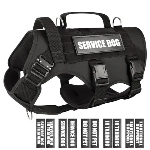 WINSEE tactical service dog vest with multiple patches on a Doberman