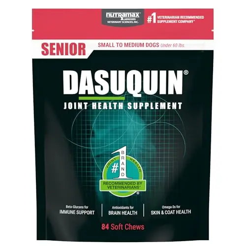 Nutramax Dasuquin senior formula soft chews for small to medium older dogs
