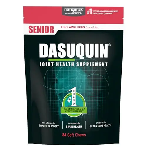 Nutramax Dasuquin soft chews for senior dog joint and brain health