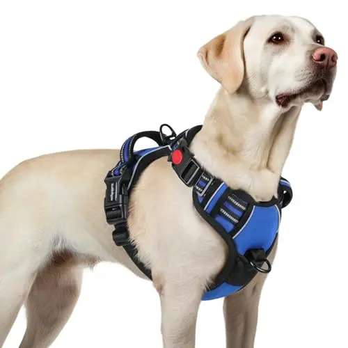 rabbitgoo no-pull dog harness with 3 buckles in blue for large dogs