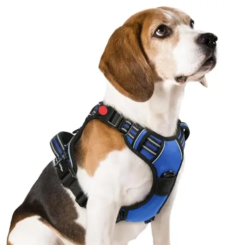 Rabbitgoo medium dog harness with 3 buckles and padded vest in blue