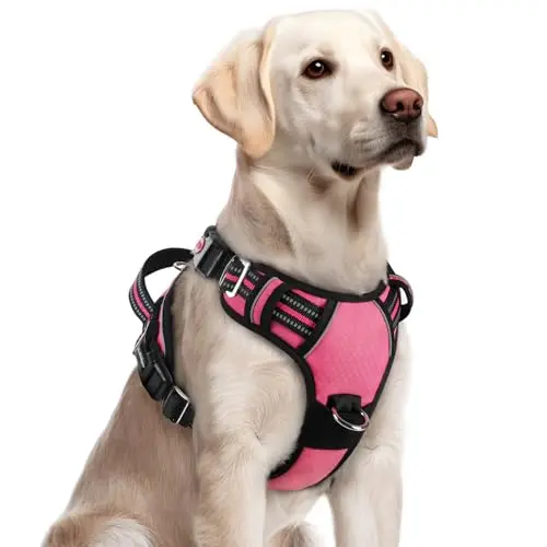 Rabbitgoo pink dog harness with three quick-release buckles