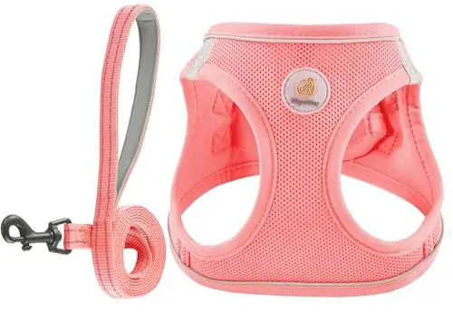 Hipubby pink mesh step-in dog harness and leash for small dogs